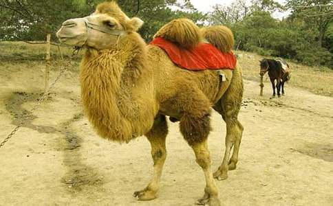 �����պ��򡷽�ѧ��˼