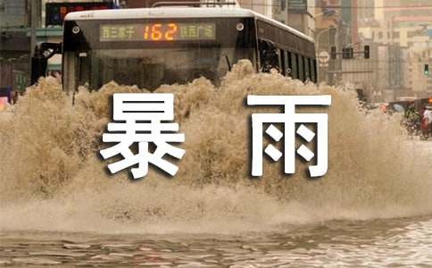 暴雨小学作文(精选60篇)