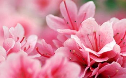 ��д�ž黨���������ӳ������ôʺþ��ȫ