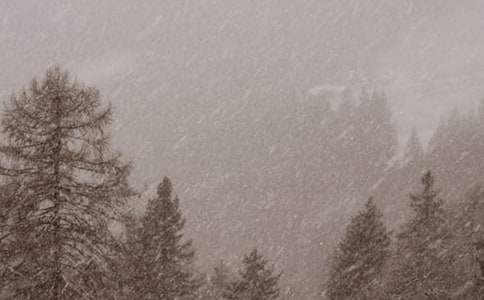 关于暴风雪的好词好句