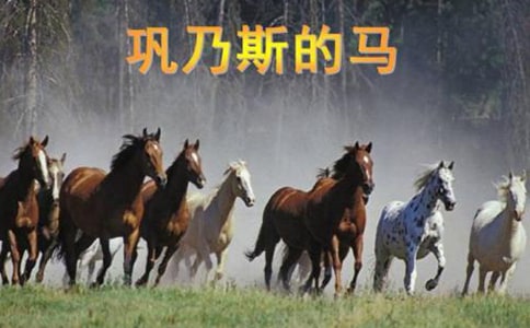 《巩乃斯的马》教学设计