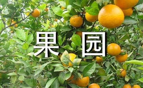果园承包合同范本