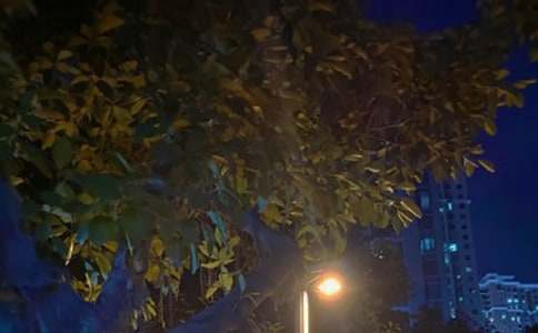 大班科学教案:白天先生和黑夜小姐