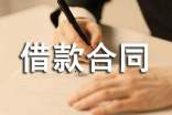 最新【精华】个人借款合同范文汇总