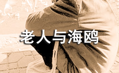 老人与海鸥说课稿(通用5篇)