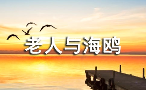 《老人与海鸥》精品说课稿