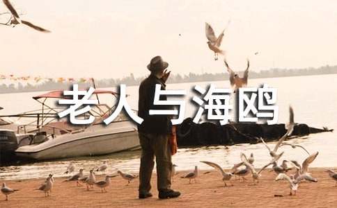 《老人与海鸥》「小班教案」