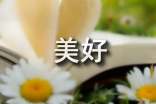 关于美好话题作文300字汇总9篇