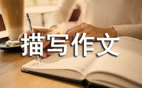 心理活动描写作文指导课教案