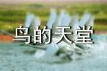 鸟的天堂教案汇编7篇