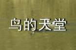 【实用】鸟的天堂教案四篇