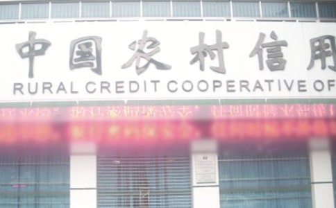 农村信用社柜员述职报告2017