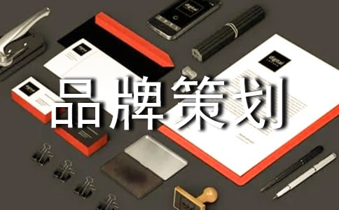 (精品)品牌策划书15篇