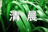 【实用】清晨问候语15篇