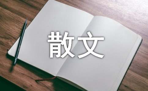 有关初中散文作文汇总10篇