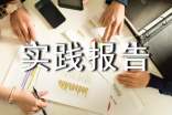 高中生寒假社会实践报告(精选5篇)