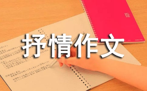 岁末感言抒情作文