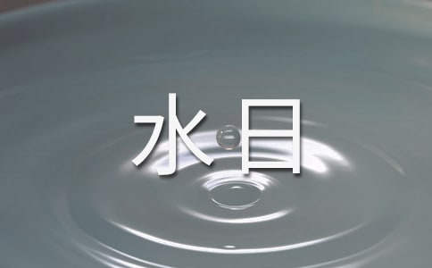 关于世界水日宣传活动总结
