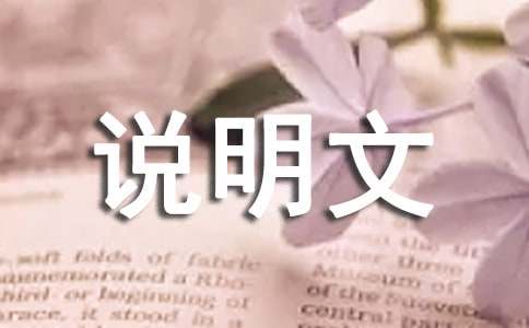 说明文作文教案模板