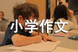 家中趣事小学作文