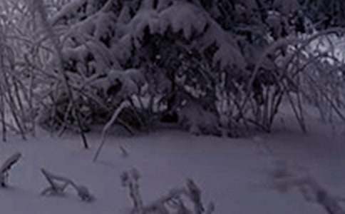小雪节气大班教案