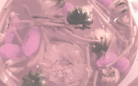 养生馆合作的协议书