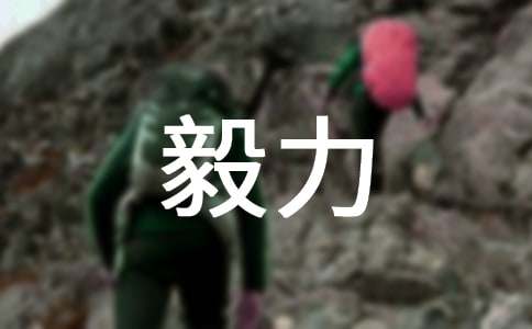 毅力小学生作文