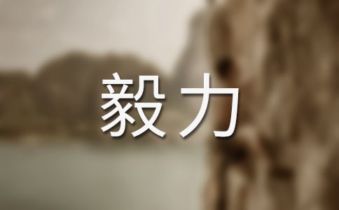 描写毅力的好词好句68句