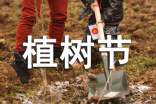 【热门】植树节活动方案5篇