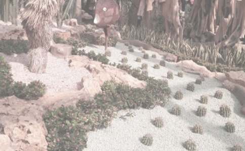 小学作文洛阳的隋唐植物园