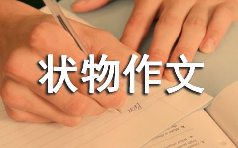 有关初中状物作文300字7篇
