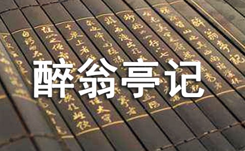 ����ͤ��˵�θ弯��8ƪ