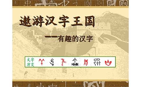 遨游汉字王国教案