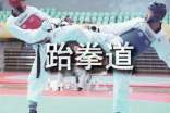跆拳道的教学计划