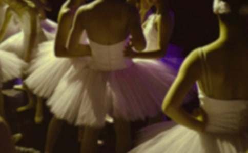 �а����Թ��½̰������������ţ��