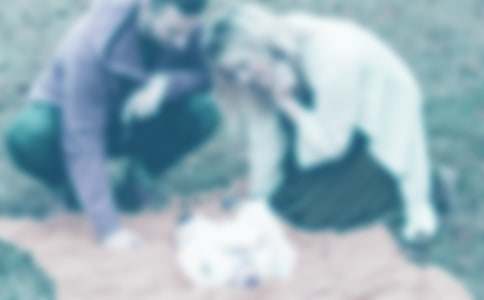 ���ְ�����ĸ�л�ž�ѡ15ƪ