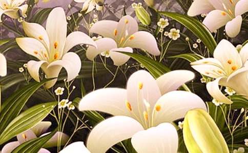 ���ٺϻ����̰�