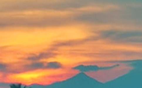 ����Сѧ����