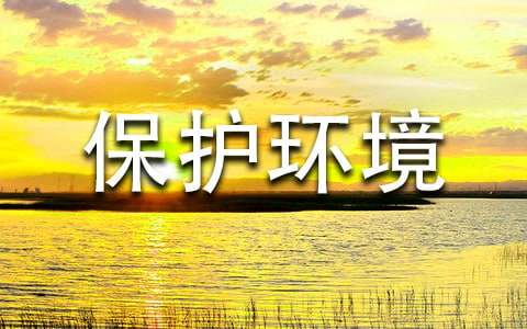 �������������顾�Ƽ���