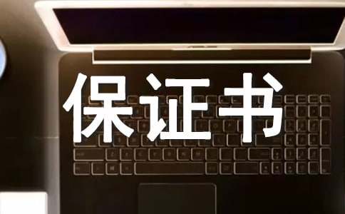 ��ȫ�������˱�֤��