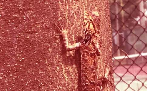 С�ڻ���β�͵ڶ���ʱ��ѧ��ƽ̰�