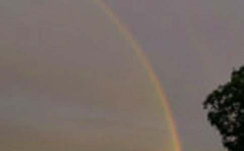 ���ʺ硷��ѧ���