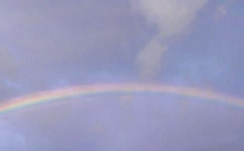 《美丽的彩虹》大班说课稿(精选10篇)