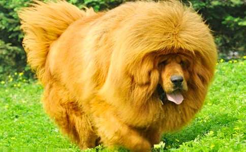 ҡ������ۺ��(7ƪ)