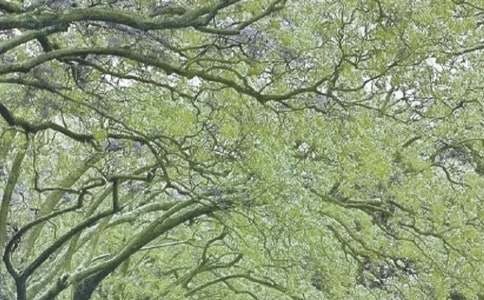 �����ж�������ܽ�10ƪ