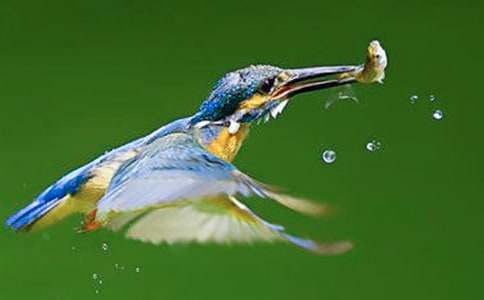 �����񡷽�ѧ��˼18ƪ