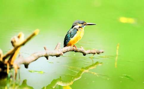 �����񡷽�ѧ��˼