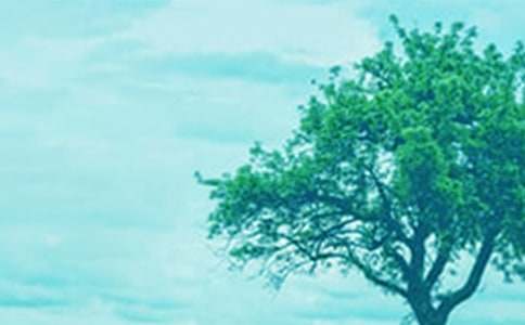 С��������ĶԻ������15ƪ