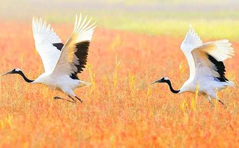 �������ĵ����ס�˵�θ�9ƪ[����]