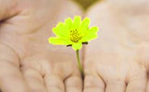 给孩子的道歉信